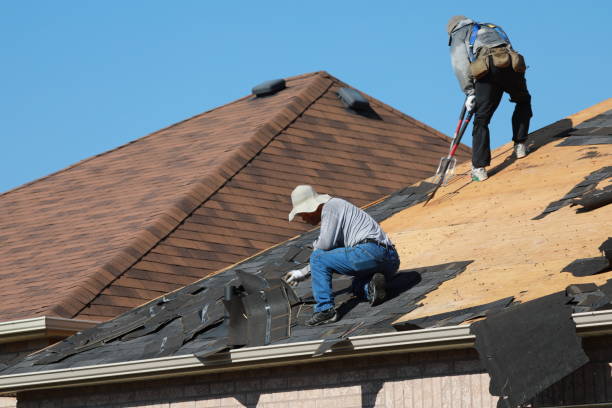 Best Roof Moss and Algae Removal  in Eaton, CO